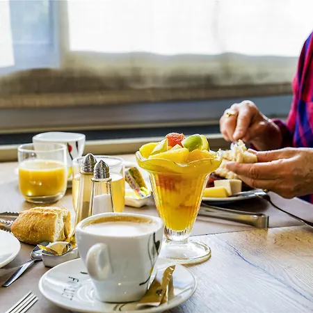Hotel Mercure Vienne Sud 4*
